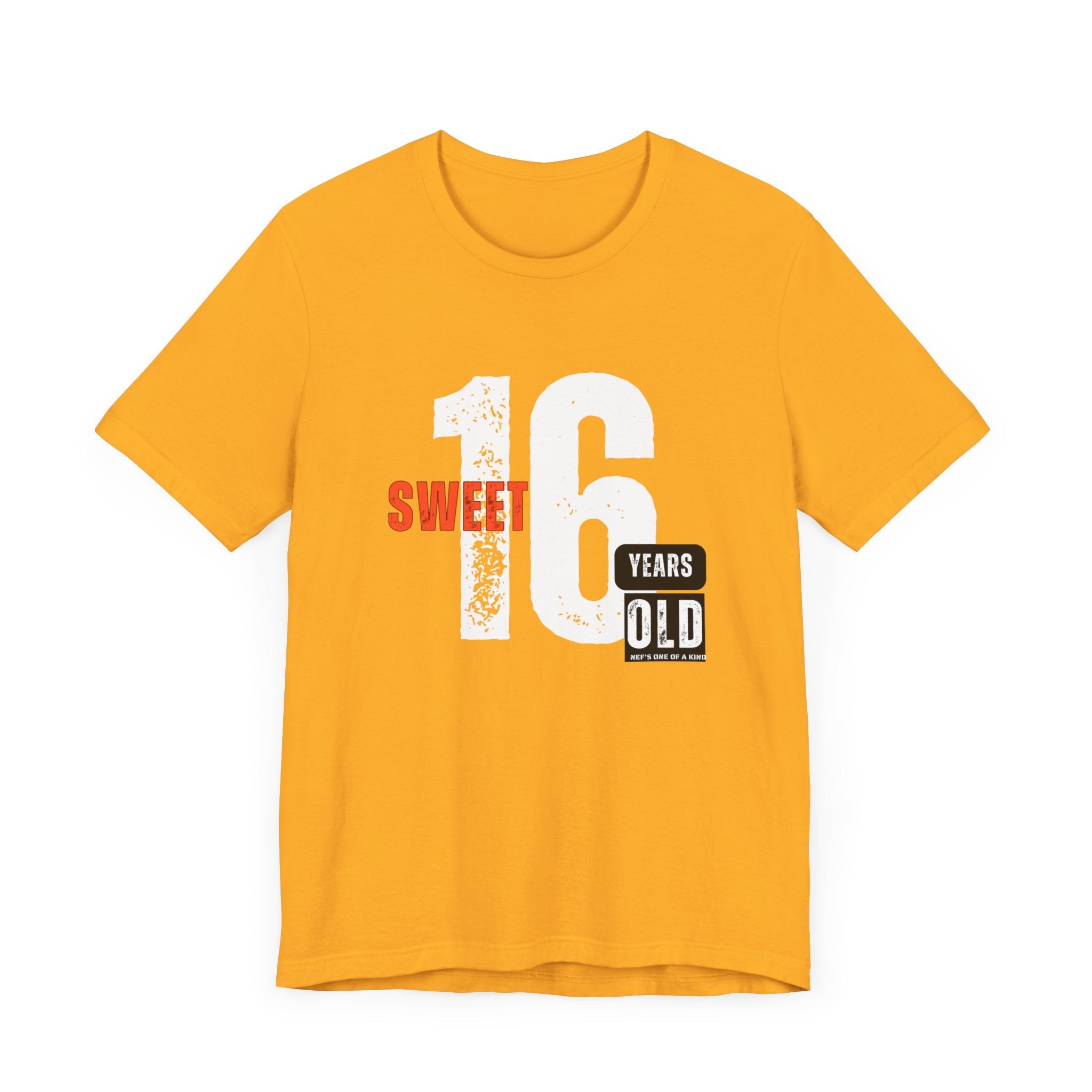 16year Old Unisex Adult Tee